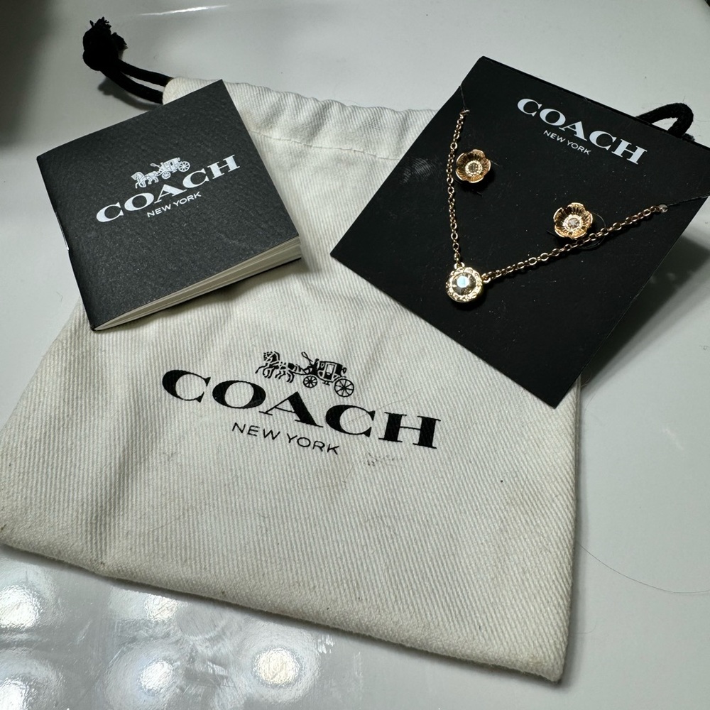 Coach necklace and earrings